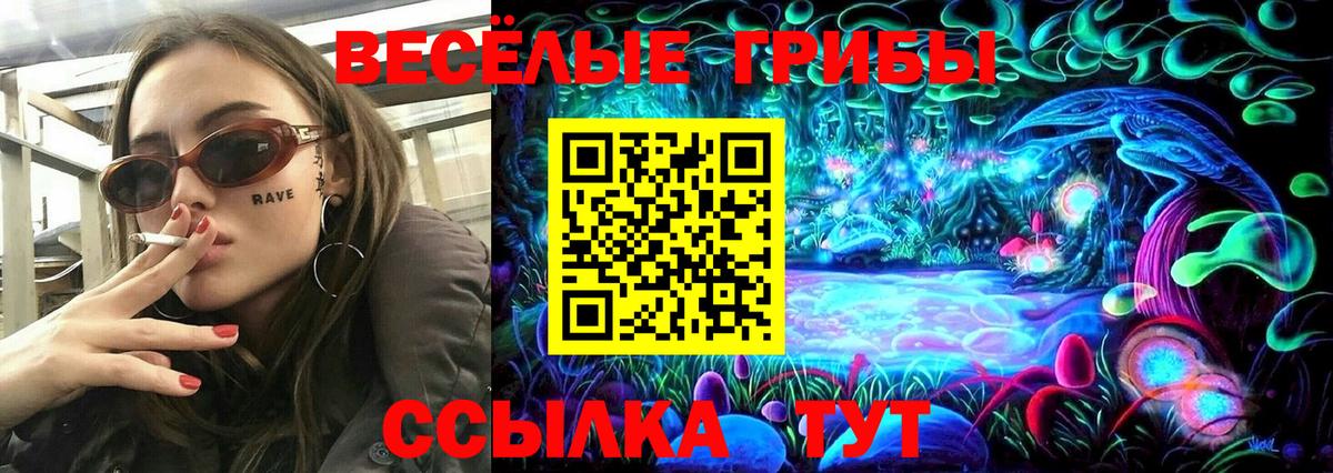 Галлюциногенные грибы Cubensis  Вход с VPN  Артём 